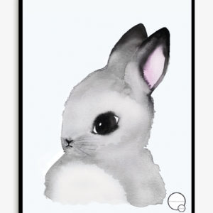 Product image - Bunny