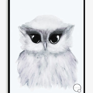 Product image -Owl