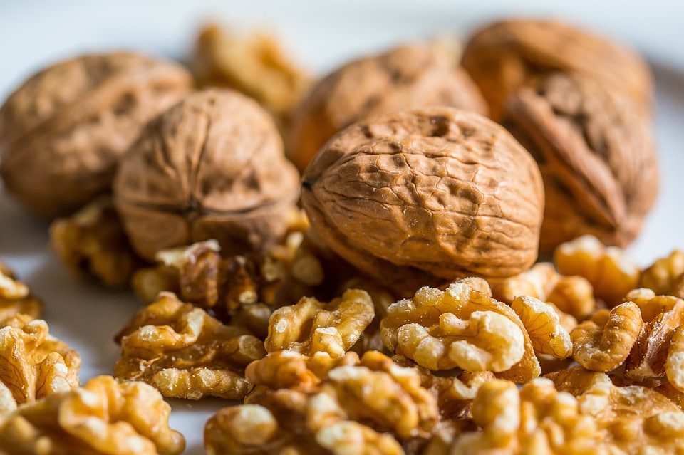 Walnuts and hazelnuts mixed nuts bowl