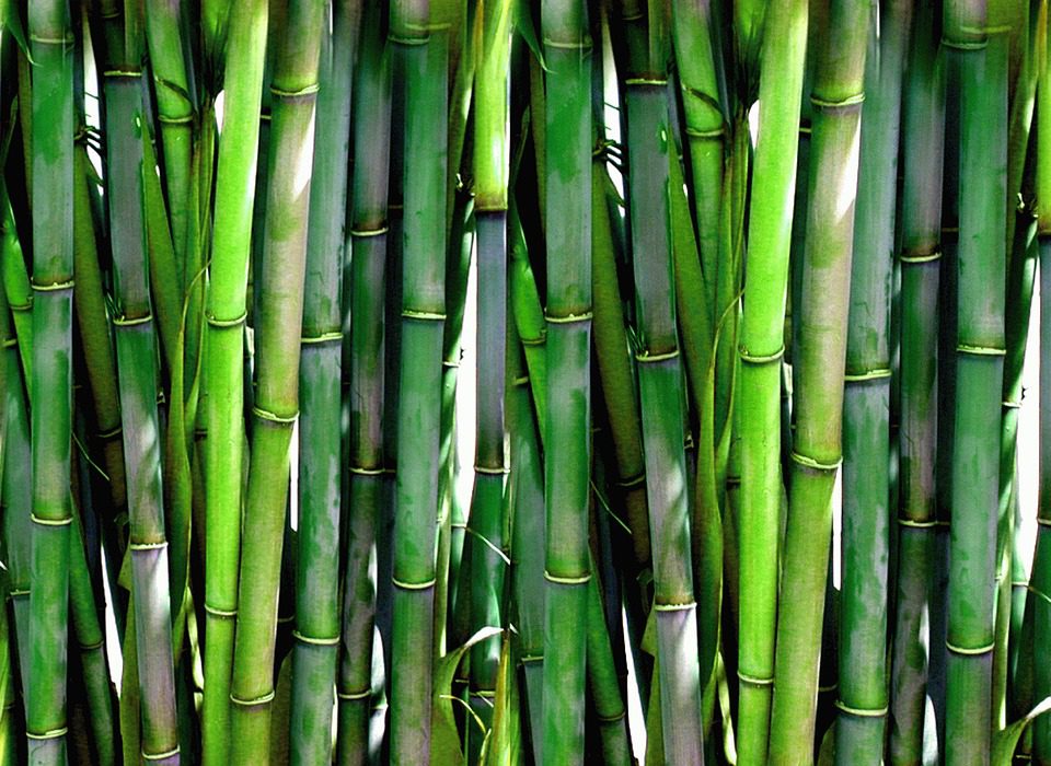 Bamboo sustainable manufacturing material
