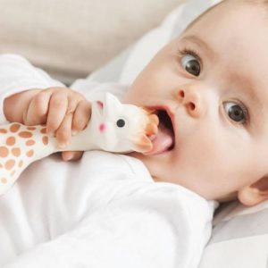 baby putting Sophie the Giraffe teether in her mouth