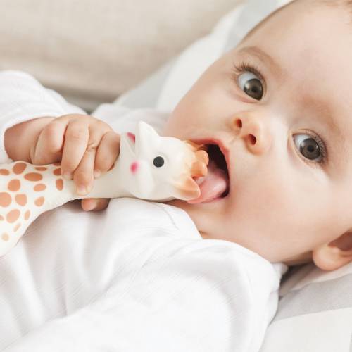 baby putting Sophie the Giraffe teether in her mouth